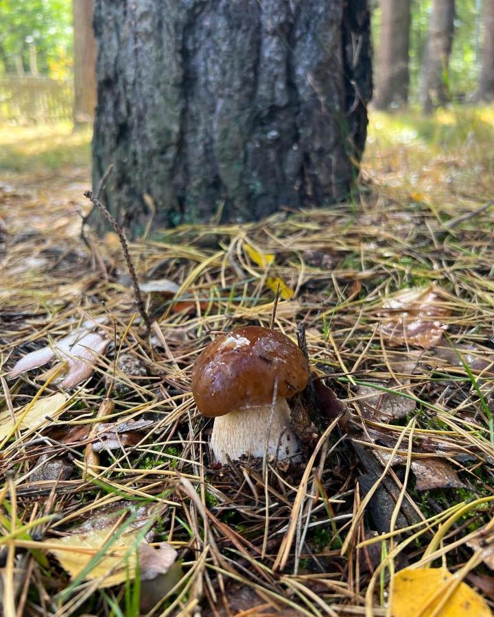 Kurort Mirowice Villa Bagian luar foto